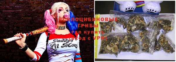 ПСИЛОЦИБИНОВЫЕ ГРИБЫ Балабаново