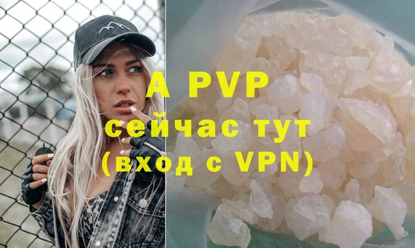 молекула духа Балахна