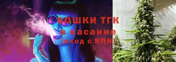молекула духа Балахна