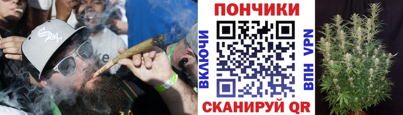Конопля конопля  kraken зеркало  Городище 